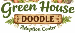 whatsapp image 2026 04 01 at 1.19.27 am